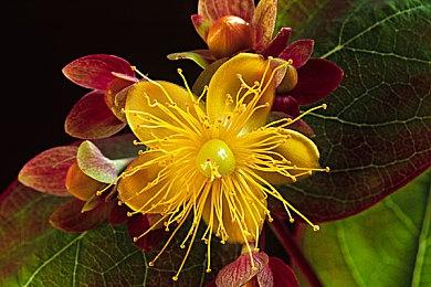 《哥谭骑士》已过审评级 或仅登陆本世代主机